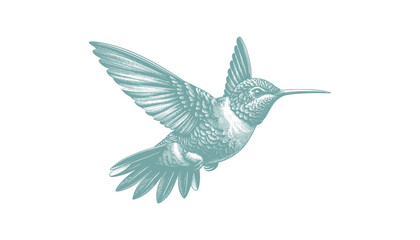 Obraz premium hummingbird vector | bird vector | hummingbird illustration | hummingbird silhouette | hummingbird tattoo | hummingbird engraving | hummingbird drawing