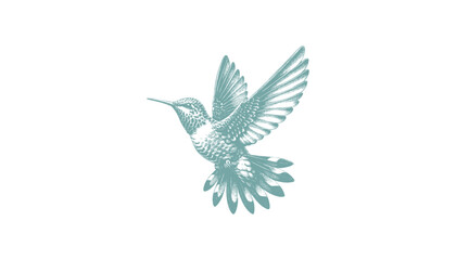 Obraz premium hummingbird vector | bird vector | hummingbird illustration | hummingbird silhouette | hummingbird tattoo | hummingbird engraving | hummingbird drawing