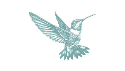 hummingbird vector | bird vector | hummingbird illustration | hummingbird silhouette | hummingbird tattoo | hummingbird engraving | hummingbird drawing