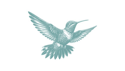 hummingbird vector | bird vector | hummingbird illustration | hummingbird silhouette | hummingbird tattoo | hummingbird engraving | hummingbird drawing