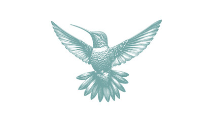 hummingbird vector | bird vector | hummingbird illustration | hummingbird silhouette | hummingbird tattoo | hummingbird engraving | hummingbird drawing