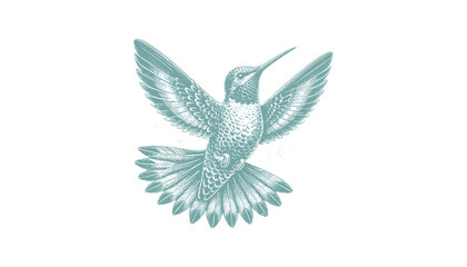 hummingbird vector | bird vector | hummingbird illustration | hummingbird silhouette | hummingbird tattoo | hummingbird engraving | hummingbird drawing