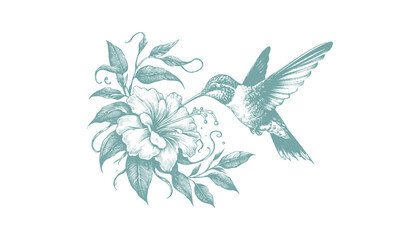 hummingbird vector   bird vector   hummingbird illustration   hummingbird silhouette   hummingbird tattoo   hummingbird engraving   hummingbird drawing © CROP MEDIA