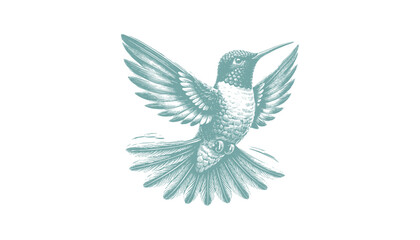 hummingbird vector | bird vector | hummingbird illustration | hummingbird silhouette | hummingbird tattoo | hummingbird engraving | hummingbird drawing