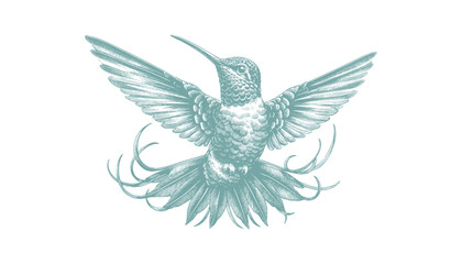hummingbird vector | bird vector | hummingbird illustration | hummingbird silhouette | hummingbird tattoo | hummingbird engraving | hummingbird drawing