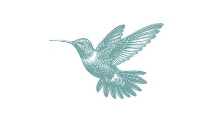 hummingbird vector | bird vector | hummingbird illustration | hummingbird silhouette | hummingbird tattoo | hummingbird engraving | hummingbird drawing