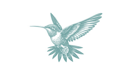 hummingbird vector | bird vector | hummingbird illustration | hummingbird silhouette | hummingbird tattoo | hummingbird engraving | hummingbird drawing