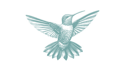 hummingbird vector | bird vector | hummingbird illustration | hummingbird silhouette | hummingbird tattoo | hummingbird engraving | hummingbird drawing