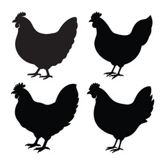 Fototapeta premium set of chicken silhouettes vector illustration.