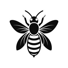 bee vector on white background.eps