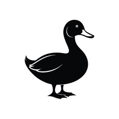 Obraz premium duck silhouette vector on a white background.eps