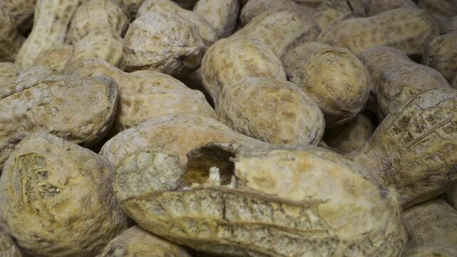 Peanuts in shell, roasted and salted. Probe lens macro. Extreme closeup.
