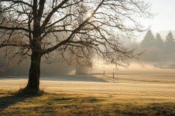 Fototapeta premium Beautiful and peacefull Countryside in Austria.