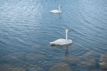 Bortala Sailimu Lake Scenic Area, Xinjiang Uygur Autonomous Region, China