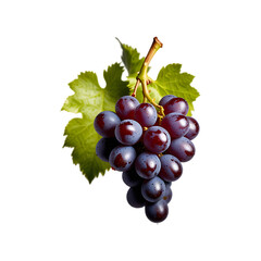 Fototapeta premium Close up grape on a transparent background