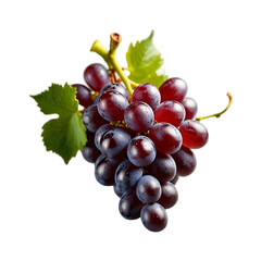 Fototapeta premium Close up grape on a transparent background