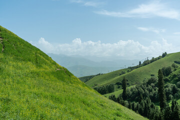 Naklejka premium Bortala Sailimu Lake Scenic Area, Xinjiang Uygur Autonomous Region, China