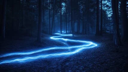 Fototapeta premium Glowing path winding through dark, misty forest at night, magical light trail
