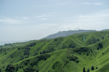Bortala Sailimu Lake Scenic Area, Xinjiang Uygur Autonomous Region, China