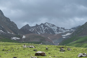 Fototapeta premium Bortala Sailimu Lake Scenic Area, Xinjiang Uygur Autonomous Region, China