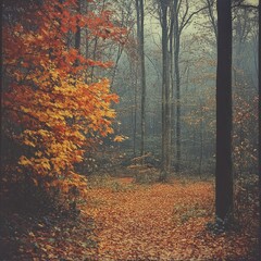 Obraz premium Autumn path, misty forest, orange leaves, fall foliage, nature background, website header