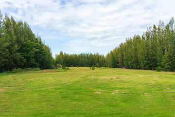 View of the golf driving range with grassy slopes and distance signs with a beautiful natural pine fence. A driving range shot showing yardage signs. Yard signs in driving range and golf ball.