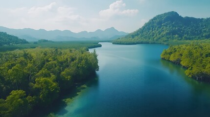 Naklejka premium Scenic river landscape, lush green islands surrounded by tranquil waters, showcasing natural beauty and serenity.