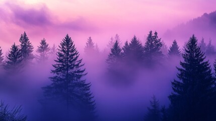 Enigmatic coniferous forest veiled in ethereal mist under pastel shaded sky panorama