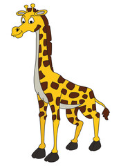 Fototapeta premium Vector illustration giraffe standing cartoon