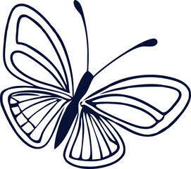 butterfly vector illustration