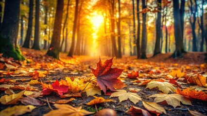 Vibrant autumn leaves scattered on the ground, with some still clinging to branches
