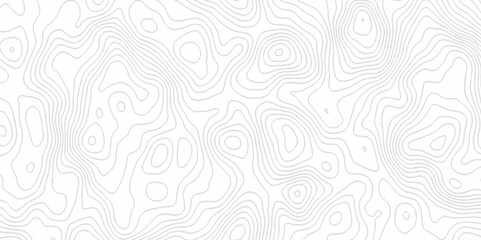 White topography topology vector white background fresh contour map texture. white seamless pattern Abstract background with a wave Topography and geography map grid abstract backdrop.