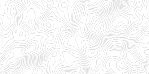 White topography topology vector white background fresh contour map texture. white seamless pattern Abstract background with a wave Topography and geography map grid abstract backdrop.