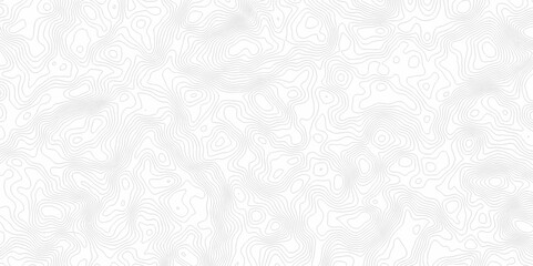 White topography topology vector white background fresh contour map texture. white seamless pattern Abstract background with a wave Topography and geography map grid abstract backdrop.