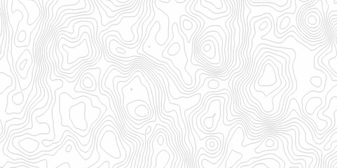 White topography topology vector white background fresh contour map texture. white seamless pattern Abstract background with a wave Topography and geography map grid abstract backdrop.