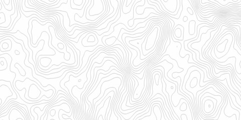 White topography topology vector white background fresh contour map texture. white seamless pattern Abstract background with a wave Topography and geography map grid abstract backdrop.