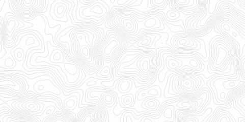 White topography topology vector white background fresh contour map texture. white seamless pattern Abstract background with a wave Topography and geography map grid abstract backdrop.