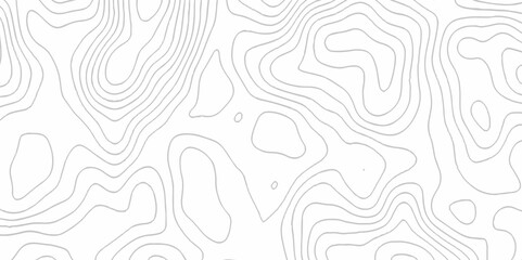 White topography topology vector white background fresh contour map texture. white seamless pattern Abstract background with a wave Topography and geography map grid abstract backdrop.