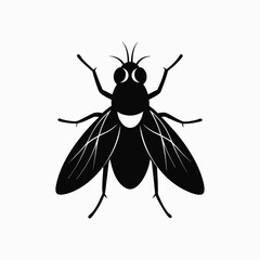 a- ousefly silhouette vector style .eps