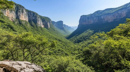 Obraz premium Majestic Cliffs Surround Lush Green Valley Landscape
