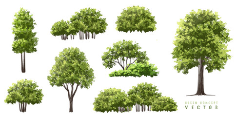  Vector watercolor green  tree or forest side view isolated on white background for landscape and architecture drawing,elements for environment or and garden,Shrub for section