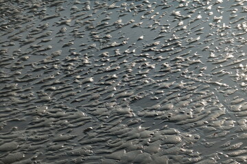 Close-up of a rippled mud texture, displaying natural patterns created by water and sediment interactions.