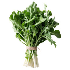 Fototapeta premium Fresh Arugula Bundle with Twine - Isolated, Green Leaves, Culinary Herb isolated on transparent background cutout