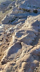 Photo description: The photo shows a close-up of the rock surface