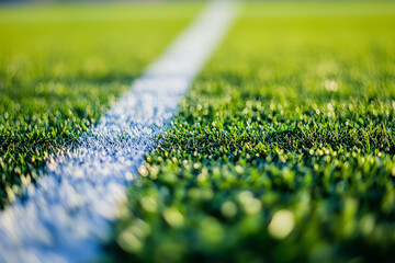 Vertical white stripe markings on the green grass of the football field