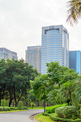 Obraz premium Landscape design of the city park Chatu Chak in Thailand. Green trees and plants of trimmed figurative bushes against the background of high-rise buildings.