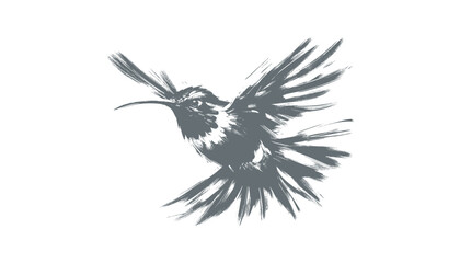 hummingbird vector | bird vector | hummingbird illustration | hummingbird silhouette | hummingbird tattoo | hummingbird engraving | hummingbird drawing