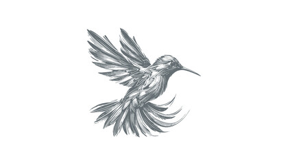 Obraz premium hummingbird vector | bird vector | hummingbird illustration | hummingbird silhouette | hummingbird tattoo | hummingbird engraving | hummingbird drawing