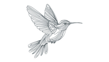 hummingbird vector   bird vector   hummingbird illustration   hummingbird silhouette   hummingbird tattoo   hummingbird engraving   hummingbird drawing © CROP MEDIA