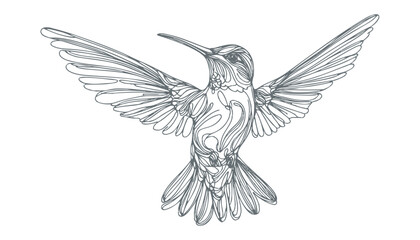 Obraz premium hummingbird vector | bird vector | hummingbird illustration | hummingbird silhouette | hummingbird tattoo | hummingbird engraving | hummingbird drawing